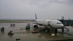 関空行き.JPG